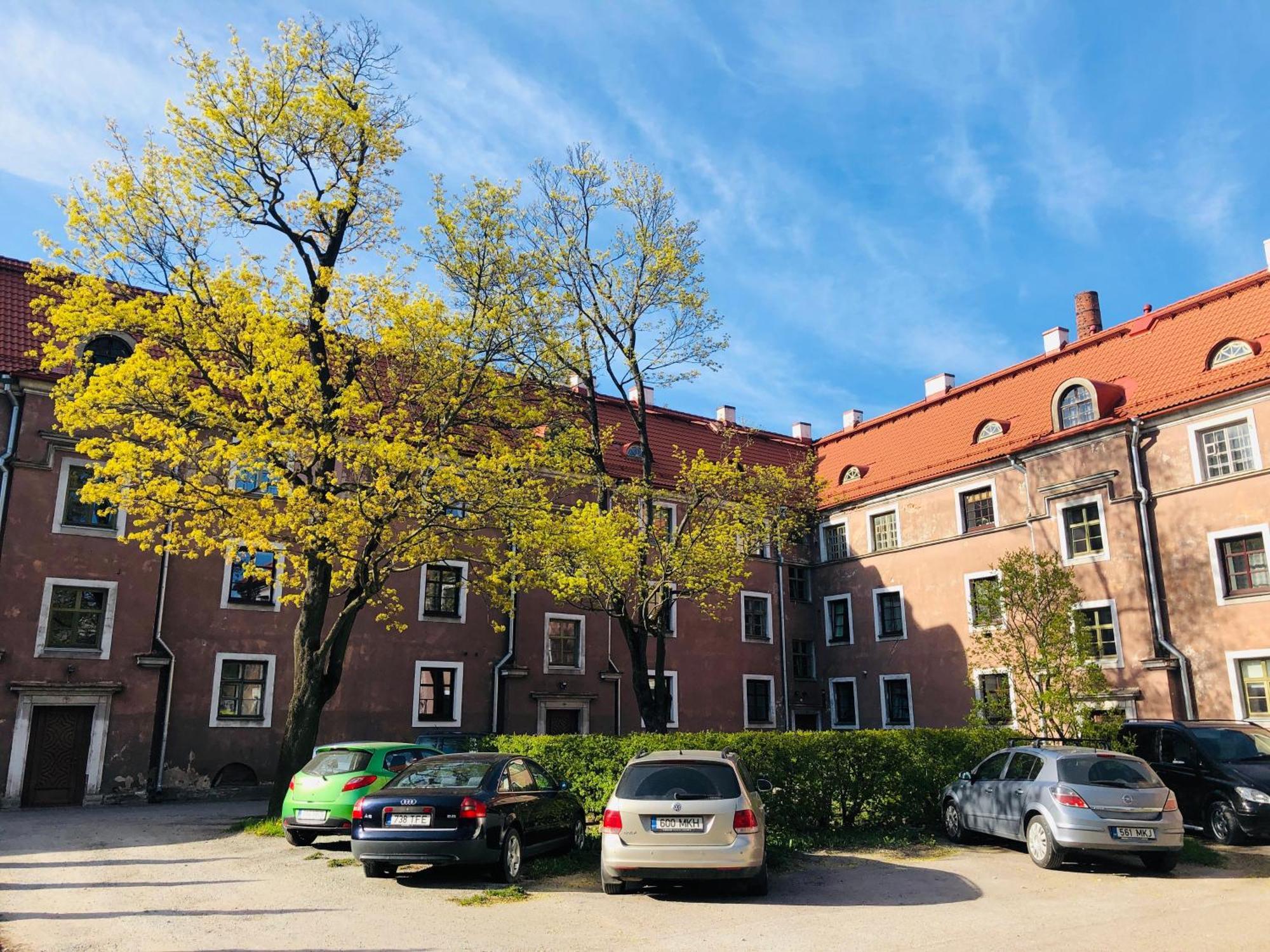 탈린 Historic Charm - Cozy Nordic Retreat In Time-Honored Residency 아파트 외부 사진